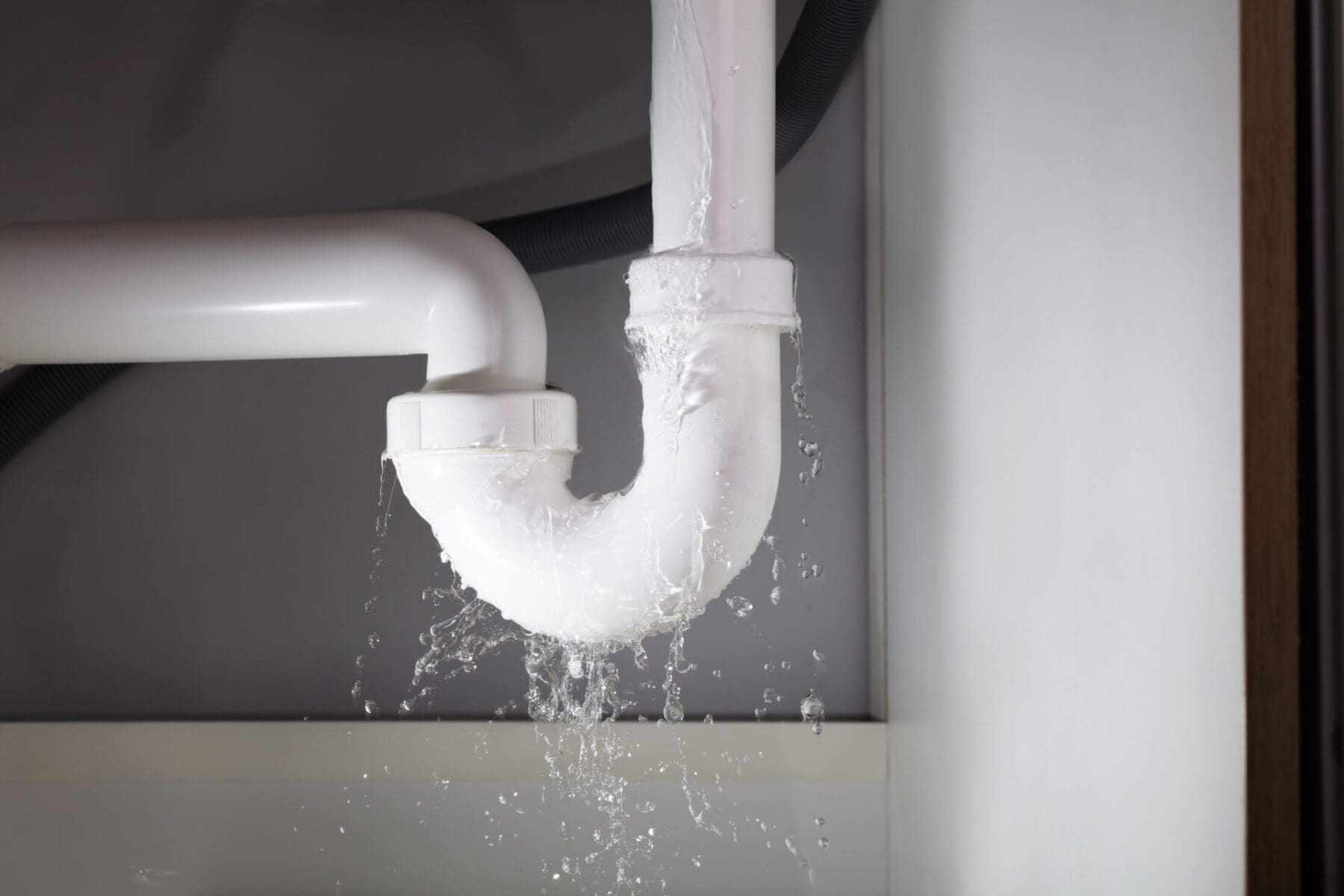 Leaking Sink? Common Causes & How to Fix It